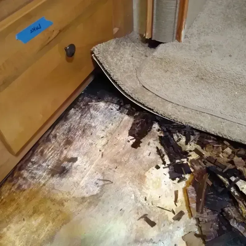 Wood Floor Water Damage in Fairlawn, OH